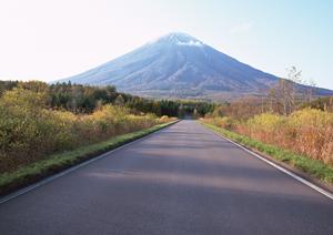 自動車の車検を安く受けれるサイト